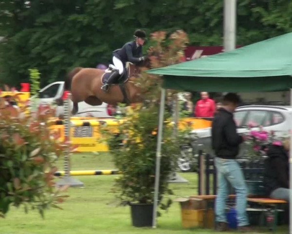Pfingst-Dressur- und Springturnier 2013 des ZRFV Borken