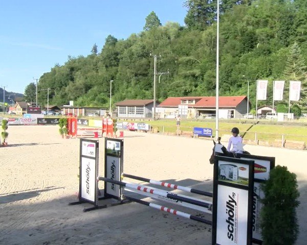 Reitturnier Schüpfheim 2024