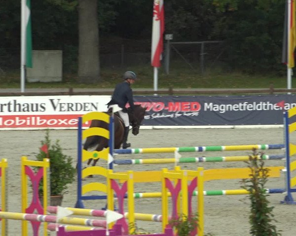 Reitturnier Westergellersen 2021