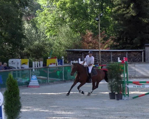Reitturnier Schüpfheim 2024