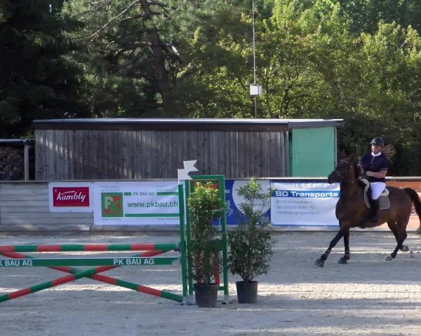 Reitturnier Schüpfheim 2024