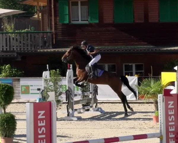 Reitturnier Schüpfheim 2024