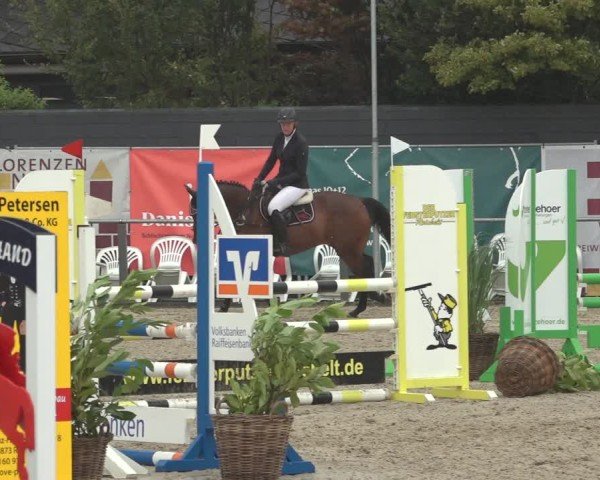 Reitturnier Behrendorf 2024