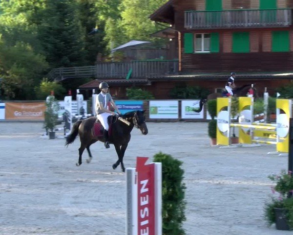 Reitturnier Schüpfheim 2024