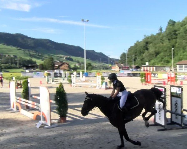 Reitturnier Schüpfheim 2024