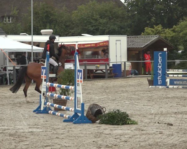 Reitturnier Behrendorf 2024