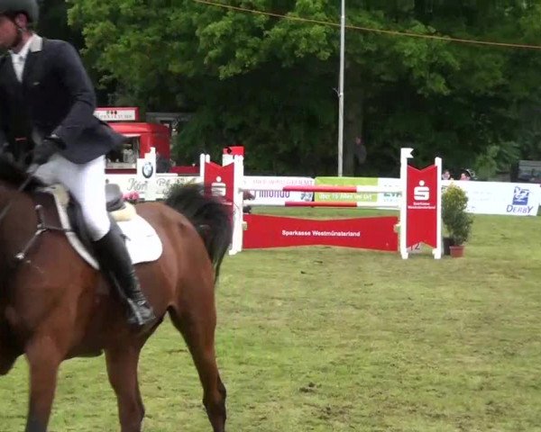 Pfingst-Dressur- und Springturnier 2013 des ZRFV Borken