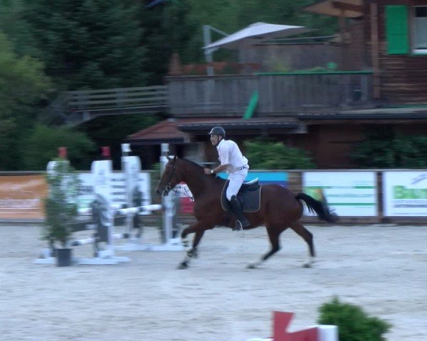 Reitturnier Schüpfheim 2024