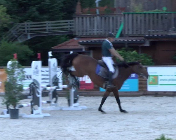 Reitturnier Schüpfheim 2024