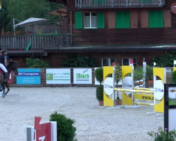 Reitturnier Schüpfheim 2024