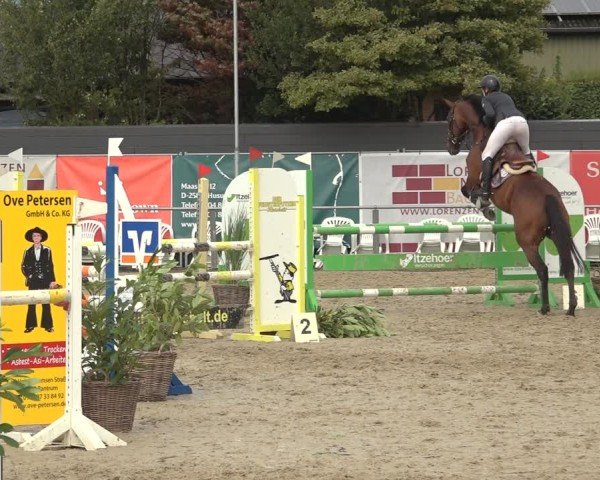 Reitturnier Behrendorf 2024