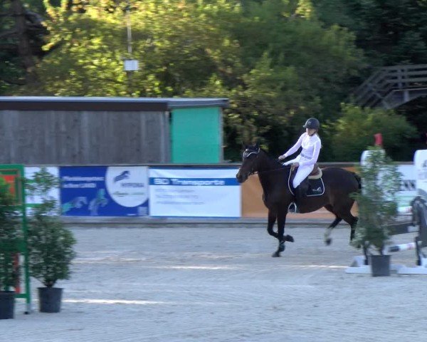 Reitturnier Schüpfheim 2024