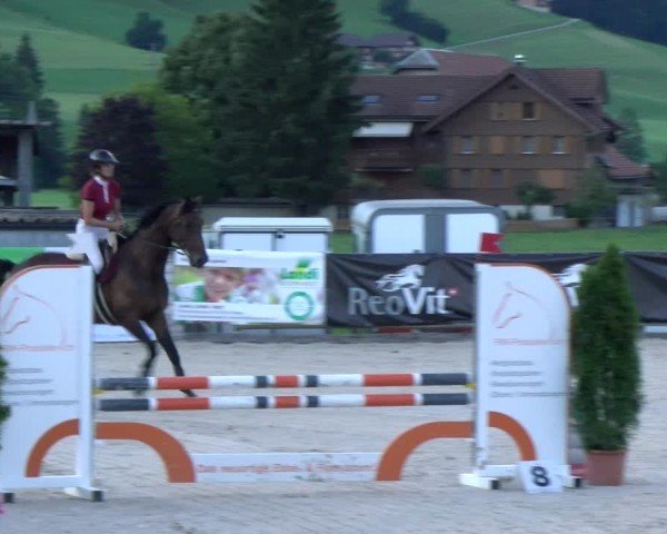 Reitturnier Schüpfheim 2024