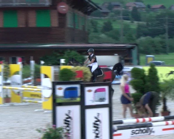 Reitturnier Schüpfheim 2024