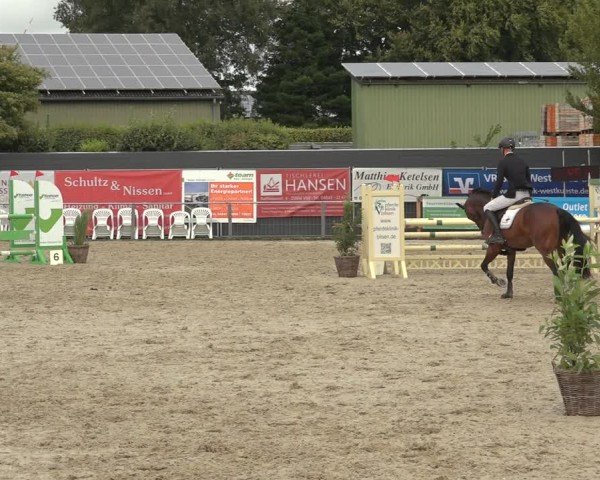 Reitturnier Behrendorf 2024