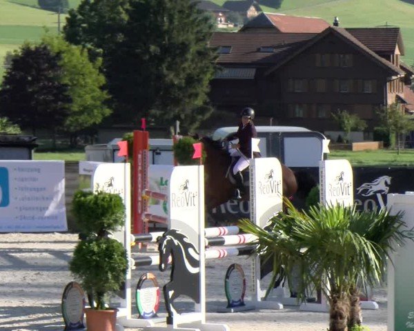Reitturnier Schüpfheim 2024
