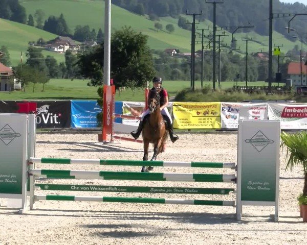 Reitturnier Schüpfheim 2024