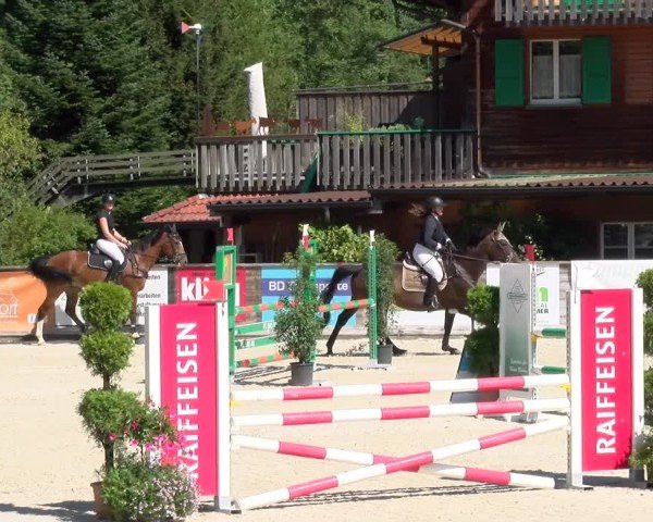 Reitturnier Schüpfheim 2024