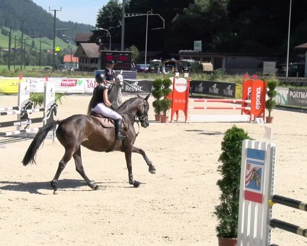 Reitturnier Schüpfheim 2024