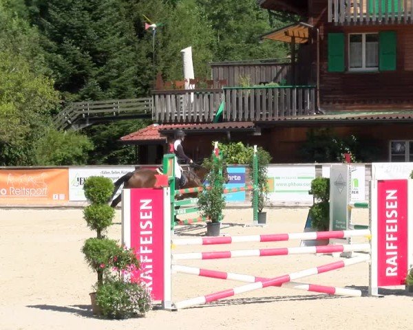 Reitturnier Schüpfheim 2024