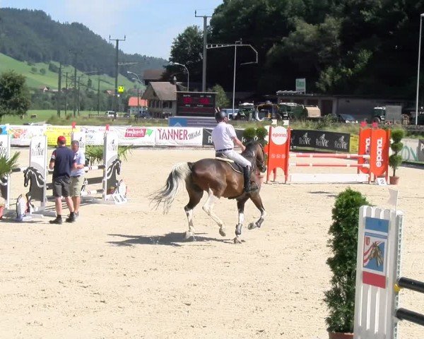 Reitturnier Schüpfheim 2024