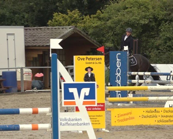 Reitturnier Behrendorf 2024