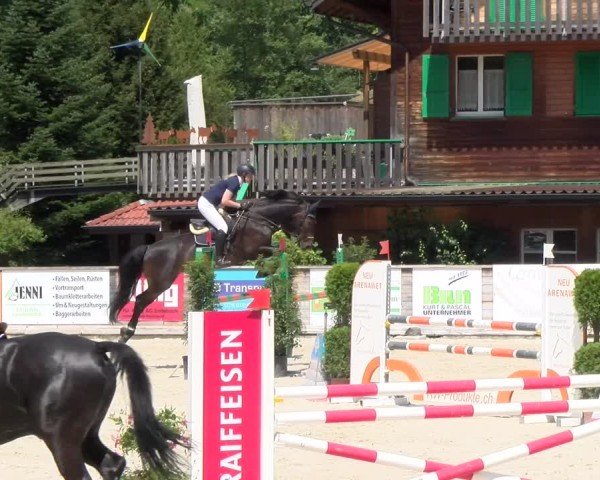 Reitturnier Schüpfheim 2024