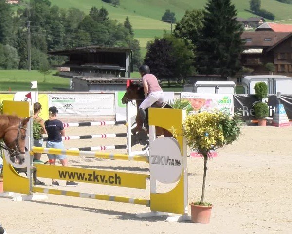 Reitturnier Schüpfheim 2024