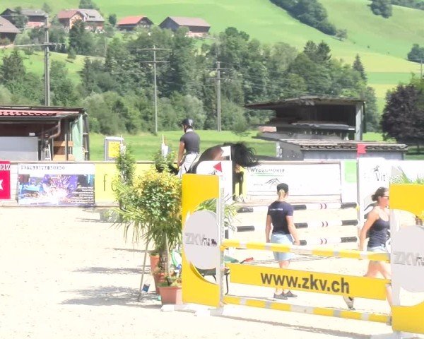Reitturnier Schüpfheim 2024