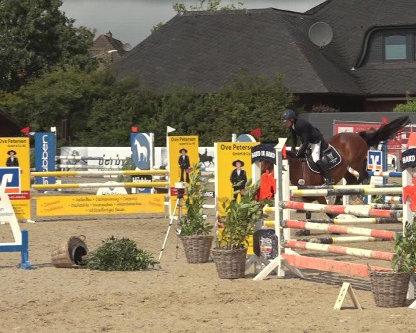 Reitturnier Behrendorf 2024