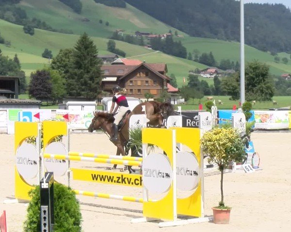 Reitturnier Schüpfheim 2024