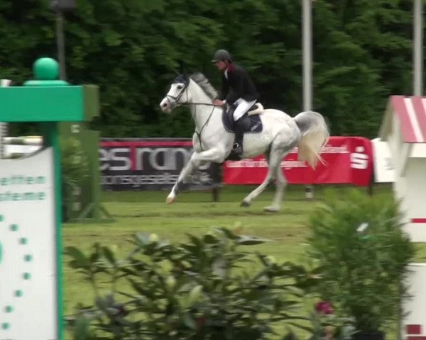 Pfingst-Dressur- und Springturnier 2013 des ZRFV Borken