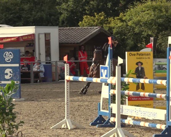 Reitturnier Behrendorf 2024