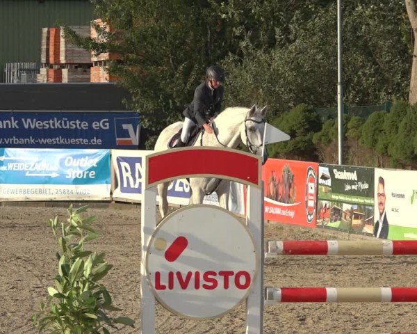 Reitturnier Behrendorf 2024