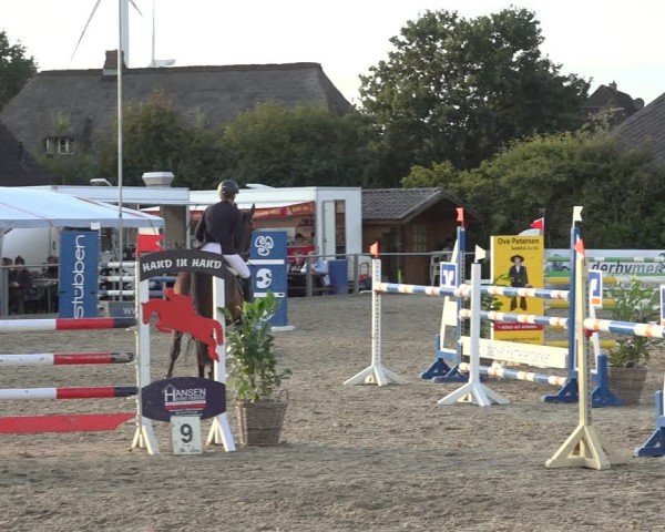 Reitturnier Behrendorf 2024
