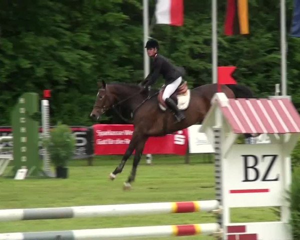 Pfingst-Dressur- und Springturnier 2013 des ZRFV Borken