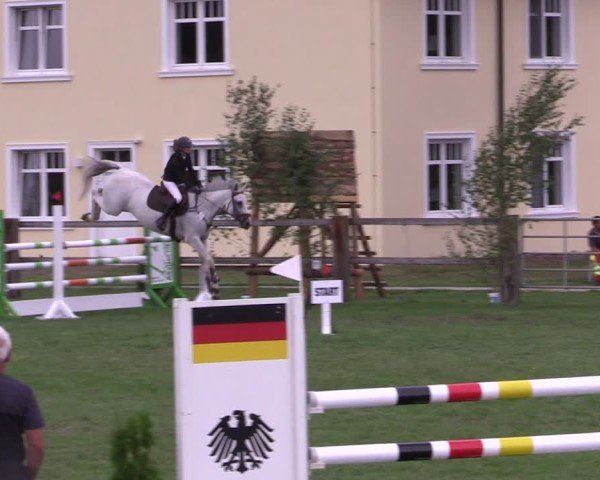 Reitturnier Niemegk / Neuendorf 2024
