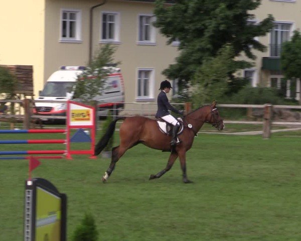 Reitturnier Niemegk / Neuendorf 2024