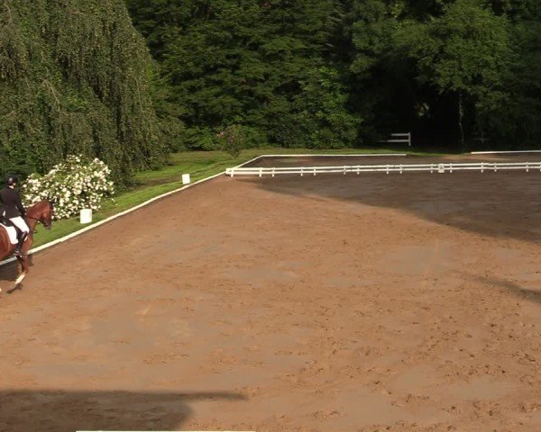 Reitturnier Vellinghausen 2024