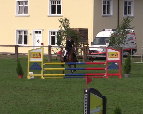 Reitturnier Niemegk / Neuendorf 2024