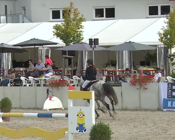 Reitturnier Grafenrheinfeld/Ufr. 2024