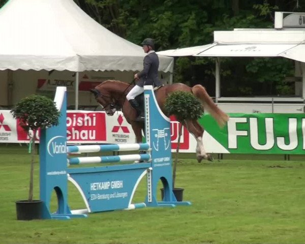 Pfingst-Dressur- und Springturnier 2013 des ZRFV Borken