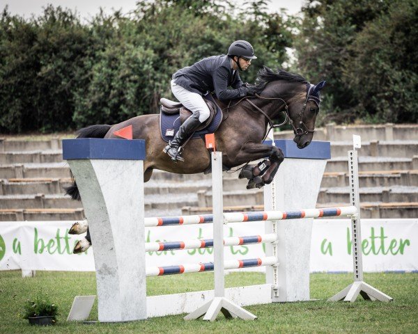 jumper Namaruso H (KWPN (Royal Dutch Sporthorse), 2018, from Insider VDL)