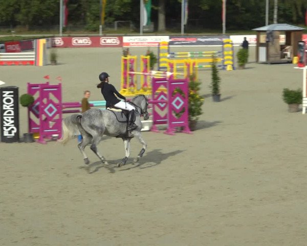 Reitturnier Westergellersen 2021