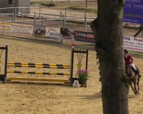 Reitturnier Castrop-Rauxel/Ober-Castrop 2024