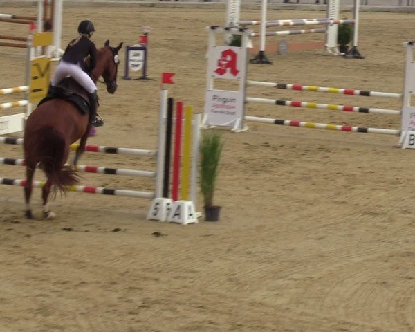 Reitturnier Castrop-Rauxel/Ober-Castrop 2024
