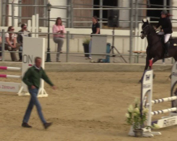 Reitturnier Castrop-Rauxel/Ober-Castrop 2024