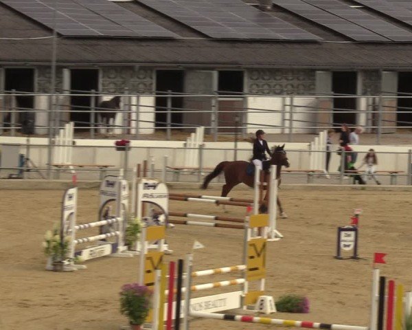 Reitturnier Castrop-Rauxel/Ober-Castrop 2024
