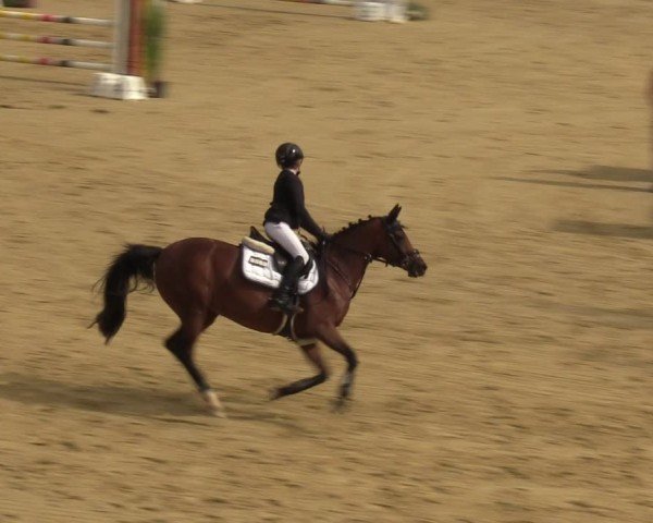 Reitturnier Castrop-Rauxel/Ober-Castrop 2024