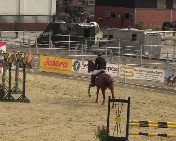 Reitturnier Castrop-Rauxel/Ober-Castrop 2024
